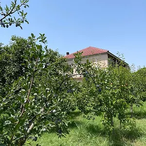 villa-mance.albaniahotels.org/